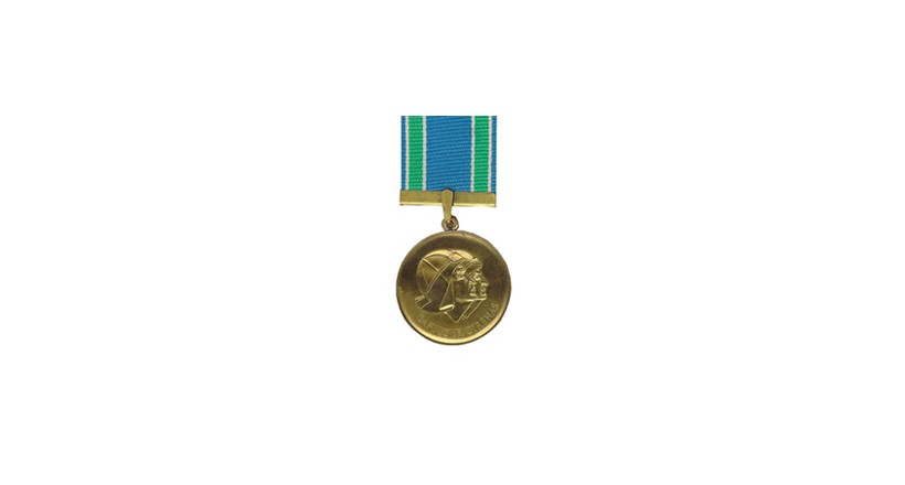 Medal of Darius and Girenas