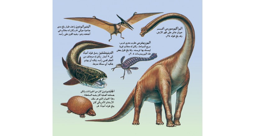 Prehistoric animals 