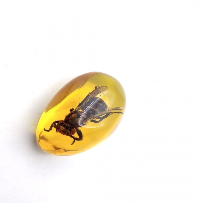 A piece of amber dirt with a bee inside